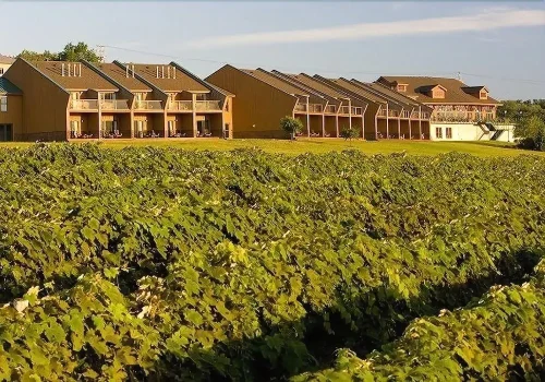 Upstate New York Travel : Glenora Wine Cellars 1 Glenora Wine Cellars