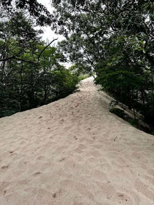 Cape Cod : Must-visit resort in Massachusetts 4 The Dune Sharks Trail