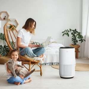 Top 7 Air Purifiers of 2024: Best Options for Seasonal Transitions 1 Air Purifiers