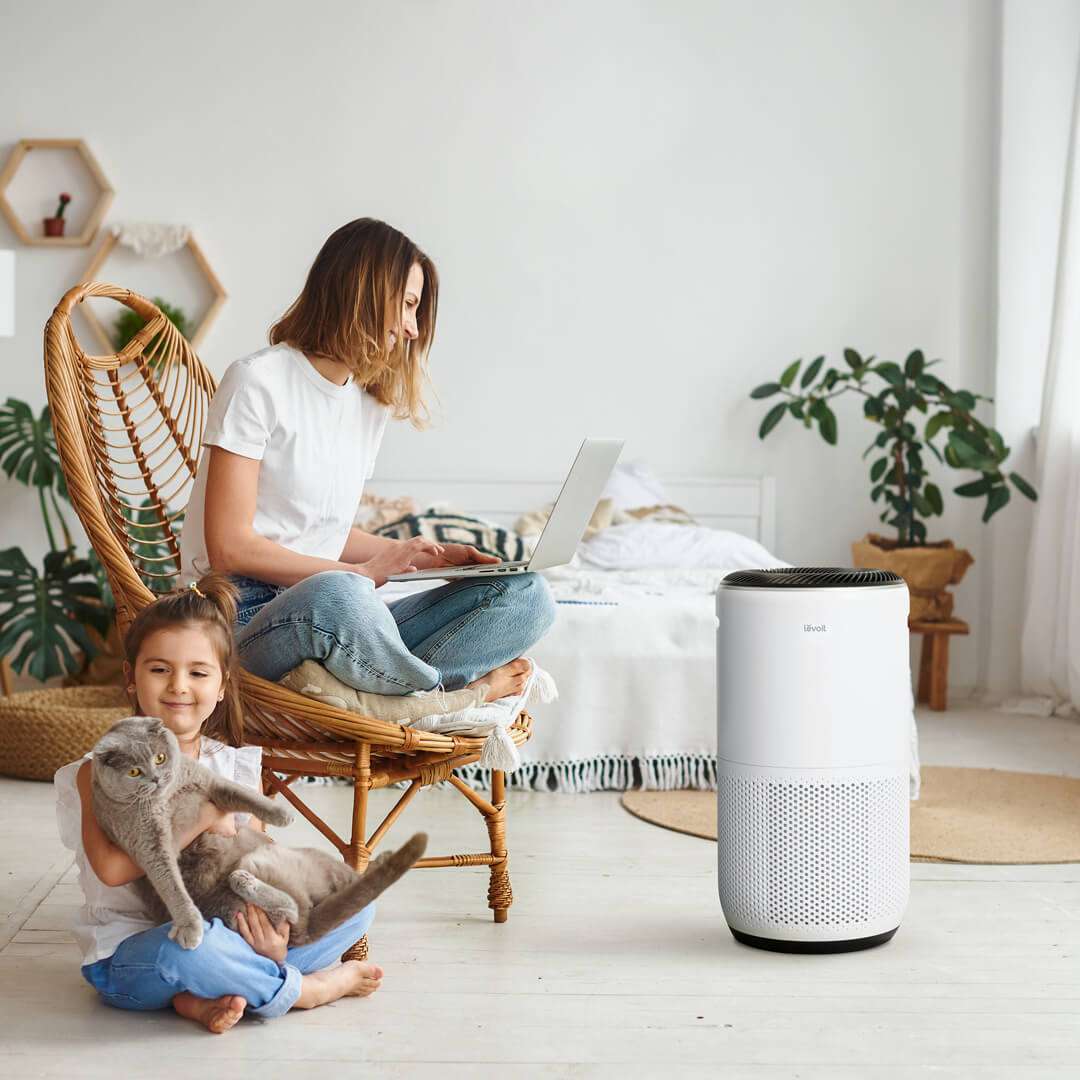 Air Purifiers