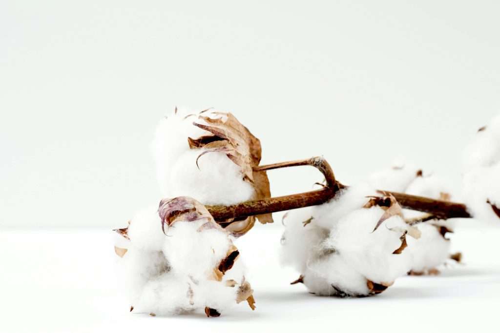 Fast Fashion vs. Slow Fashion: What You Need to Know 1 Fast Fashion vs. Slow Fashion